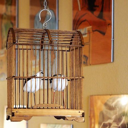 Chambres D'Hotes Le Secret Du Chat Cordes-sur-Ciel Exterior foto