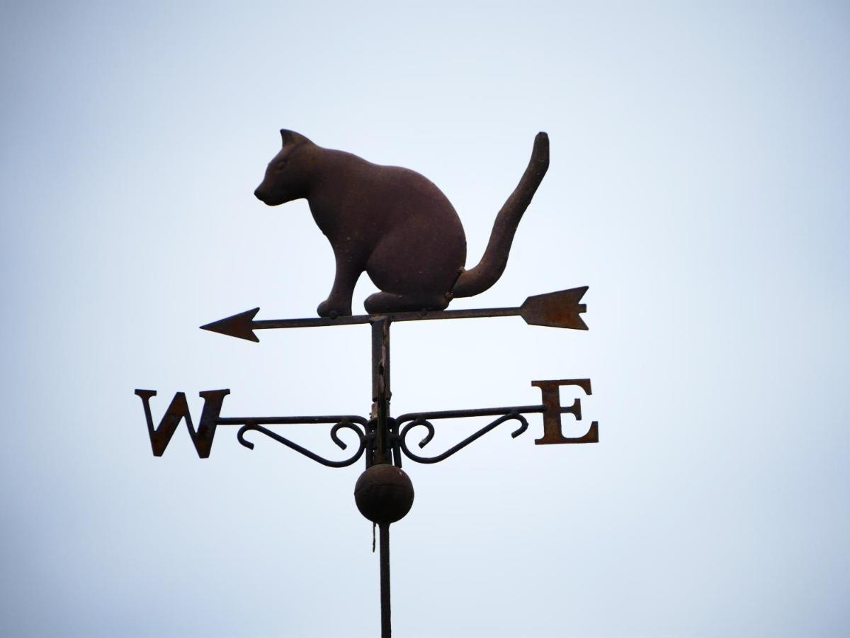 Chambres D'Hotes Le Secret Du Chat Cordes-sur-Ciel Exterior foto